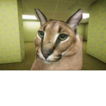 Floppa the killer in The Backrooms [NEW]