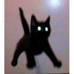 Frøūggÿ Frēńžży