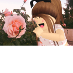 •Rosette•