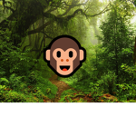 MonkeyssW