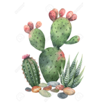 The Cacti group<3
