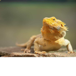 Hi people 10000