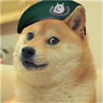 Doge Is Kingdom