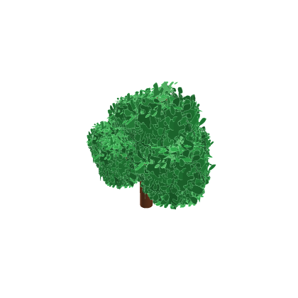 Big Tree