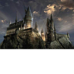 HERMIONE GRANGER GROUP