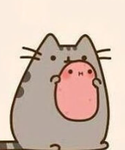 The Catsssssss! :)