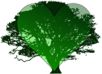 Hug a Tree <3