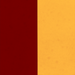Dicio Pontificio