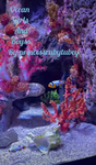 Sea life girl and boyss