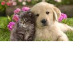 !~Animal Lovers~!