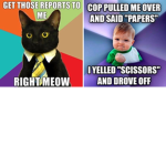 reallapishero memes community