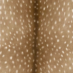 adxrabl