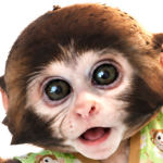 yakhonim