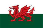Welsh and proud Group Thumbnail