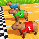 Capybara Training🍊