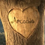 arcadie Group Thumbnail