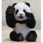 Pandas Forever <3