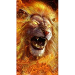lionkon fan club