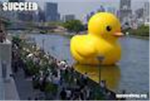 Epic ducks rock