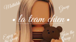 • la team chiens •