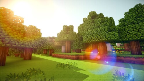 Voxels