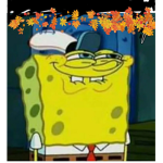 Vedy is spongy