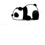 Pandasquad_543