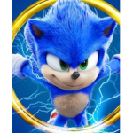 Sonic the hedgehog fans :)