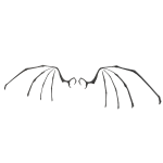 Skeleton wing