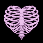 L0V3RSS
