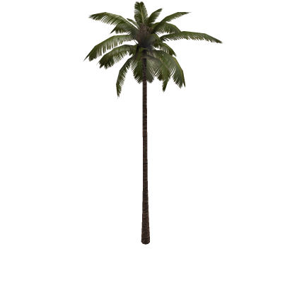 Palm Tree (Mesh w/ Transparent Block)