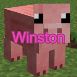 Winston Hub