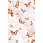 Cant believe it’s not Butterflies <3
