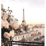 The Paris Group