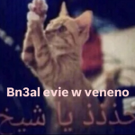 evie3mahven