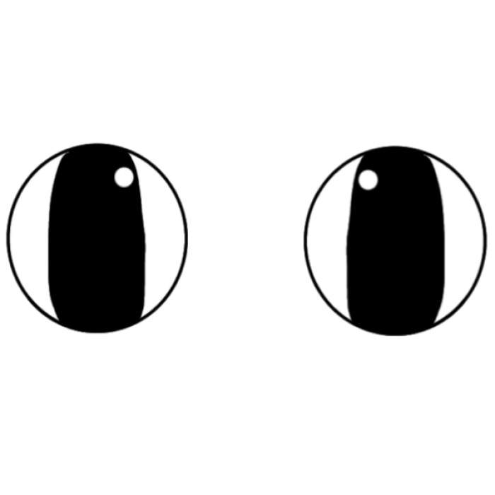 Animal hospital Round eyes Roblox decal