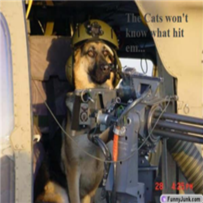 Army Dog Roblox decal