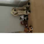 Animals gangs