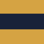 Die Braunschweigische Armee