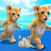 Team Ay Mi Gatito Tycoon icon