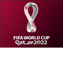 F BM Match Pitch World Cup (Original)