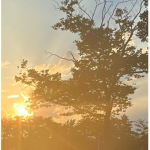 Sun & Sun