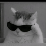 جيشالاوتاكو