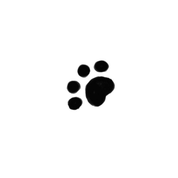 ‹𝟹