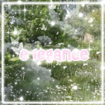 e1egance