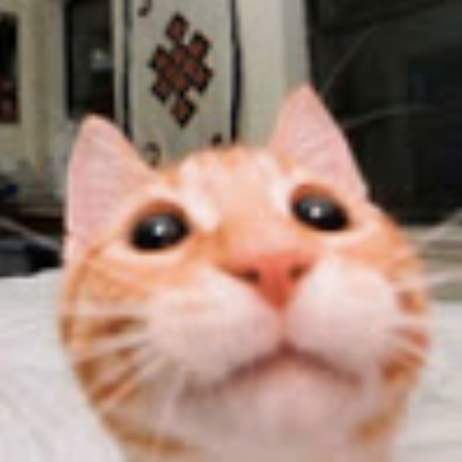 cat Roblox decal