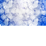 Cold of club