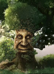 —TREE GANG—