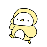 제리의 미친방