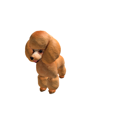 Poodle